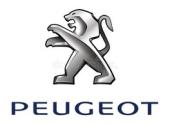 Peugeot Pejo Özel Servis Tamir Bakım Onarım